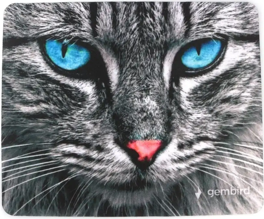 Gembırd Fare Oyun Matı 250x200x2mm 110665626