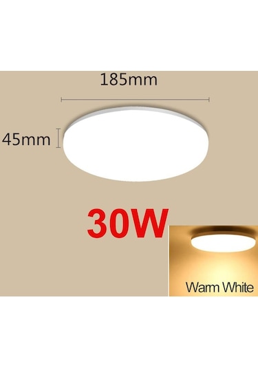 Modern Led Tavan Işıkları 50w 30w 20w 15w Tavan Lambaları 220v 230v 30w Warm White