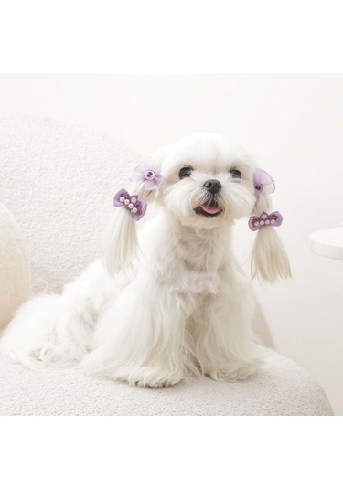 M-pets Glam Fiyonklu Kedi Ve Köpekler İçin Aksesuar Toka Mor Mor