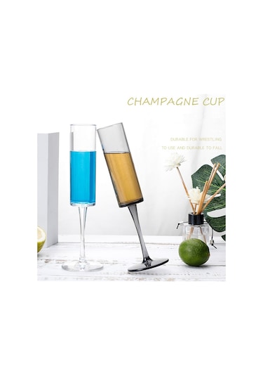 Sones 165ml Ev Tipi Akrilik Şampanya Bardakları
