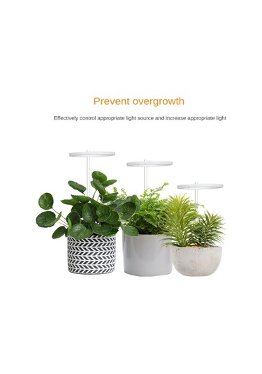 Kırmızı & Mavi Tam Spektrum Led Büyüyen Işık İç Mekan Bitkileri, Yüksekliği Ayar Melek Halkası Otomatik Led Aydınlatmalar 56853001