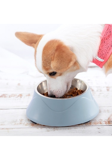 Cbtx Evcil Hayvan Mama Kasesi Paslanmaz Çelik Köpek Kedi Çift Kullanımlı Kase