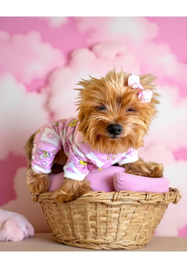 Toad Teddy Penye Tulum Yastık Takım Uyku Set Köpek Tulum Elbise