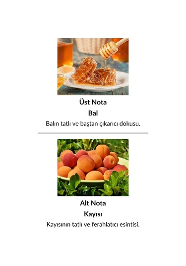 Alescia St-114 Kadın Parfüm EDP 50 ML