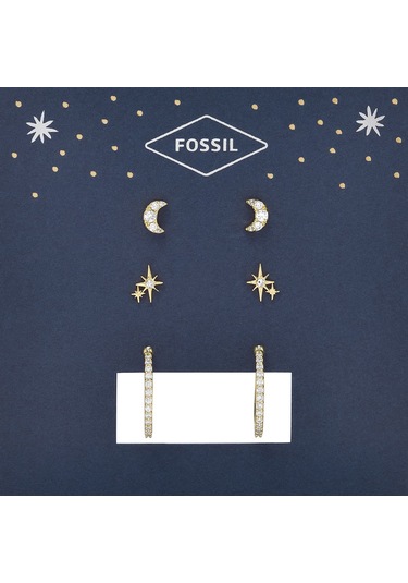 Fossil Jgftset1050 Kadın Küpe Seti