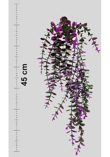 Özel Tasarım Iki Renkli Elmas Beyaz Saksılı Mor - Yeşil Okaliptus Sarkıtı