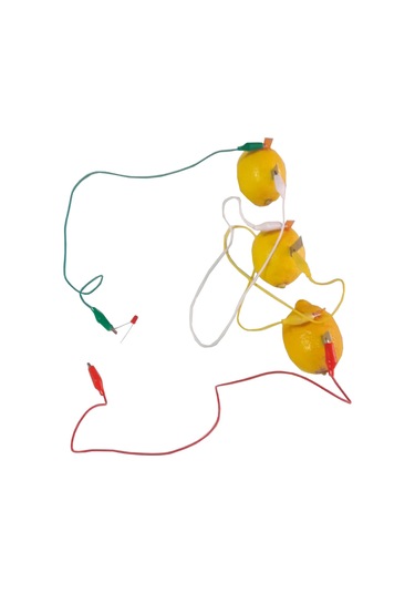 Ece Limondan Pil Yapma Deney Seti Sebze Meyveden Pil Yapma