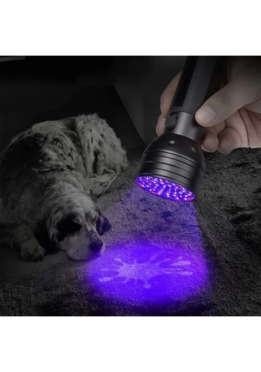 Sones 51 Led 395nm Uv Led El Feneri, Evcil Hayvan İdrarını Algılama Desteği Siyah