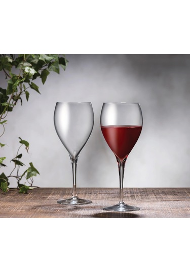 Paşabahçe 440388 Veneto Kadeh 2'li 445 Cc