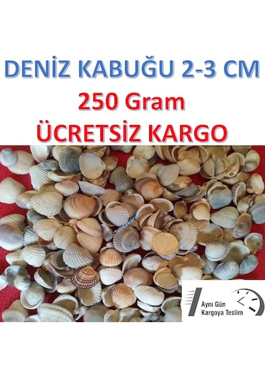 Deniz Kabuğu 250 Gram Deniz Kabuğu Deniz Kabukları 2-3 Cm