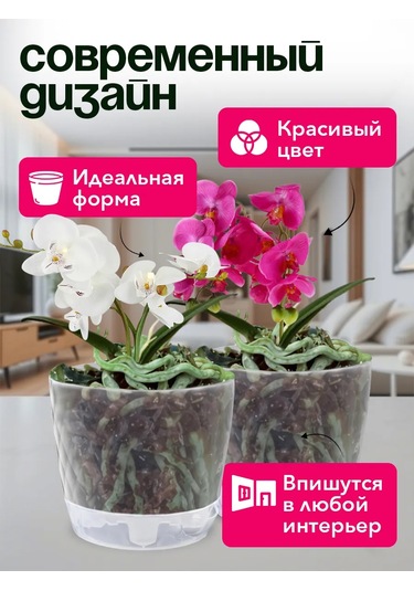 Tiko Home Şeffaf Tabaklı Saksı, 1 L 5'li S 349782255