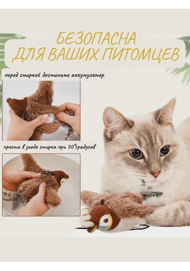 Kediler İçin Etkileşimli Oyuncak 'kuş' 321860329