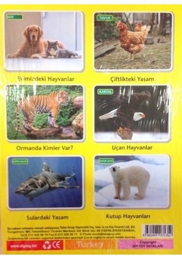 Diytoy İlk 50 Hayvan Flash Cards Hafıza  Kartları