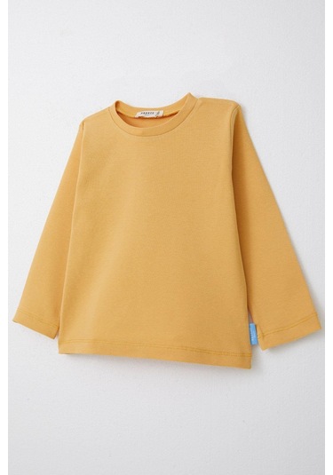 Breeze Erkek Çocuk Uzun Kollu Tişört Basic 1-4 Yaş, Hardal Sarı Hardal Sarı