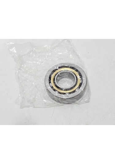 Gea 0011-7305-100 Rulman