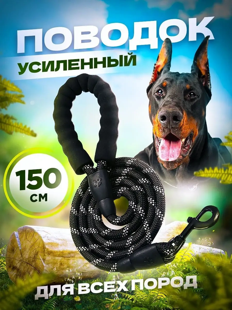 Petfort Köpekler İçin Işık Yansıtıcılı Naylon Tasma 1,5 Metre 155818541 Siyah