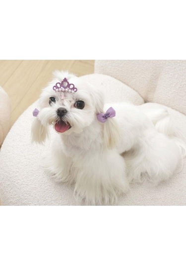 M-pets Glam Taç Ve Fiyonklu Kedi Ve Köpekler İçin Aksesuar Toka Mor Mavi