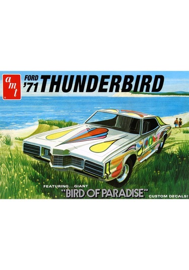 Amt 920 1/25 1971 Ford Thunderbird Araba Demonte Plastik Maketi
