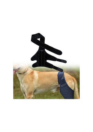 Homyl Köpek Bacak Desteği Esnek Destek Bandajları Malzemeleri