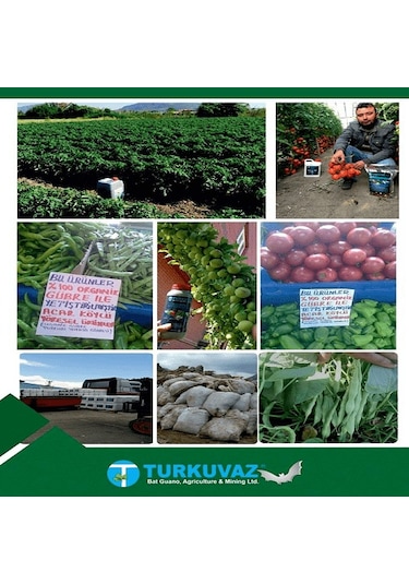 10 L Turkuvaz Bat Power Organik Sıvı Yarasa Gübresi