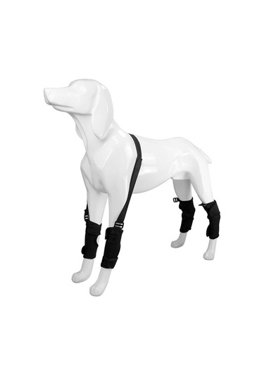 Homyl Artrit M'den Stabilite Kaybı Için Köpek Destek Brace M