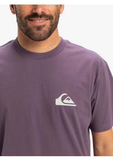 Quıksılver Vıntage Vıolet Ev Mını Logo Ss Erkek T-shırt Eqyzt08042-pqc0 Mor
