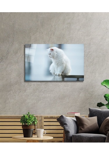 Beyaz Kedi Cam Tablo