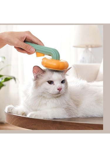 River World Köpekler İçin Tarak Kabak Şekilli