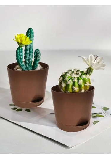 Interm Kaktüs Saksısı Minik Succulent, Menekşe Ve Çiçekler İçin Saksı 133193596