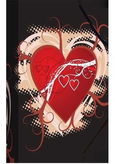 Noki Desenli Lastikli Kutu Klasör