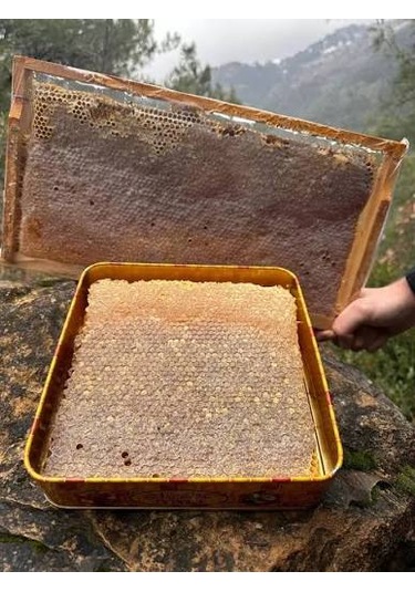 Bitlis Hizan Doğal Yayla Petek Balı Polifloralı Çok Çiçekli Bal Ta14 1050 G