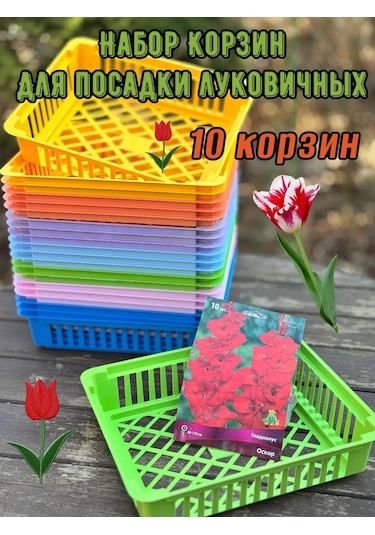 Botanikum Soğanlı Bitkiler İçin Sepet, Kelebek Yetiştirme 384328188