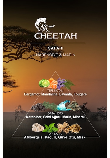 Cheetah Safari Erkek Parfüm EDP 100 ML + Sprey Deodorant 150 ML + Tıraş Köpüğü 250 ML