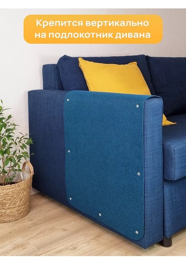 Aseliadia Kedi Kınağı - 80x50 Cm Kanepe Tipi 227986903