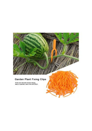 Ximistore9 100 Adet Tohumluk Bitki Sapı Sabitleyici Klip, Çilek-karpuz Tohumlukları İçin Dayanıklı Plastik Bahçe Aracı