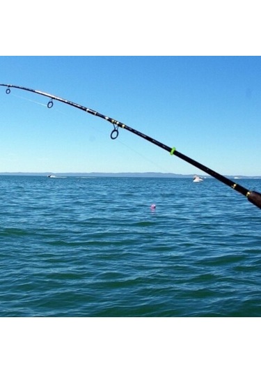 MSO Fosforlu O-Ring Halka Olta Balıkçılık Kamp Kamış Çivi Çadır 10 Adet