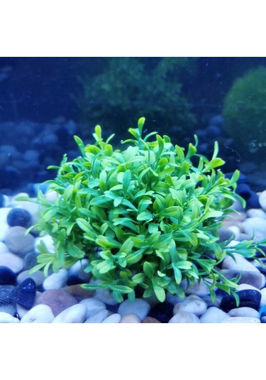 Moveevo Akvaryum Dekorasyonu Plastik Simülasyon Su Bitkisi - Canlı Görünüm, Renk Kaybı Olmaz, Su Kalitesine Etki Etmez, Temizliği Kolay