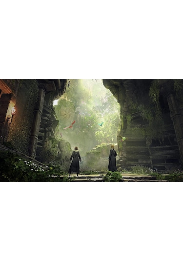 Hogwarts Legacy Ps5 Oyun Cd Teshir