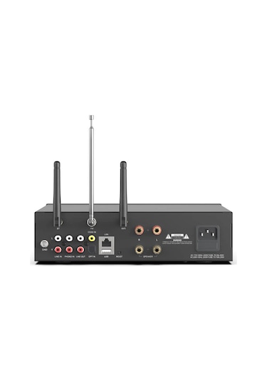 Arylic A100 Stream Amfi