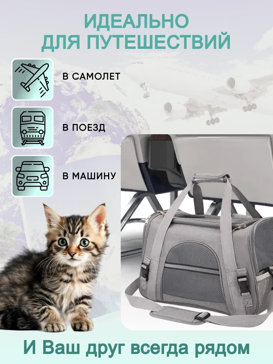 Rnb4pets Kedi Ve Köpek Taşıma Çantası 307892004