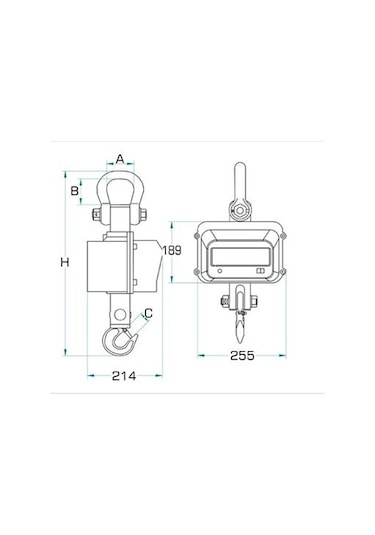 Tem Sh-3000-led Vinç Baskülü 3000 KG