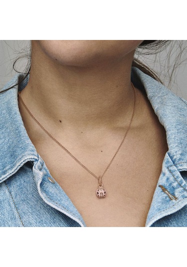 Nur Silver Rose Uğur Böceği Gümüş Charm Nur-bl10039