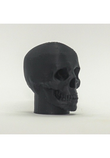 Pazly Suntek Siyah Siyah Macunu Kapağı Kafatası Kafa Diş Çocuklar Aile Vc Diğer