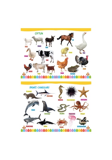 2-6 Yaş İlk Kelimelerim Seti  850 Kelime Öğreten 5 Kitap