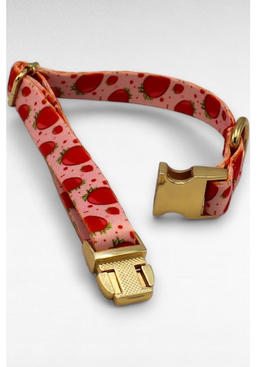 Caramelos İsimli Köpek Tasması, Yavru Köpek Tasması, Küçük Irk Köpek Tasması, Metal Kilit, 1,5 Cm Pembe