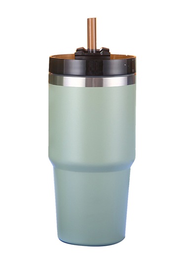 Hangfox 304 Paslanmaz Çelik Isı Saklama Bardak, 20oz, 6-12 Saat Isı/sıcaklık Tutma, Pipetli Kapaklı, Araçta/kahve/su İçimi İçin Uygun