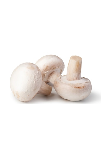 Eko Paket Kültür Mantarı Tohumu Beyaz Şapkalı Kültür Mantarı Tohumu 100 Tohumu +sürpriz Hediye Tohum