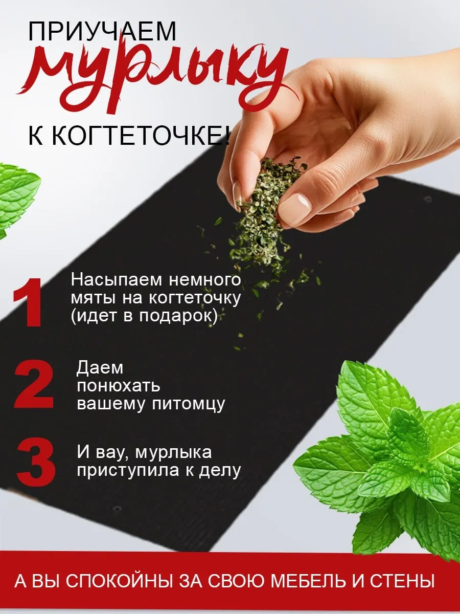 Dzessi Köpek Odunları İçin Köşe Duvara Monte Tırnak Törpüleme Yatağı 413608045