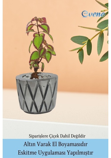 Saksı Çiçek Kaktüs Saksısı Lüx 11 Cm Altın Eskitme Varak Boyalı Baklava Desen Saksı Çiçeklik - Gümüş Eskitme