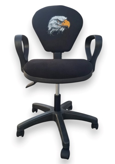 Kara Kartal Desenli Taraftar Baskılı Çocuk Odası Ders Çalışma Ofis Koltuğu Bilgisayar Sandalyesi Siyah - Beyaz